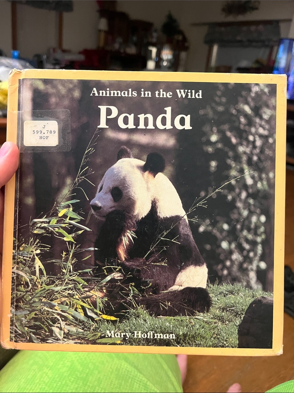 Panda Book